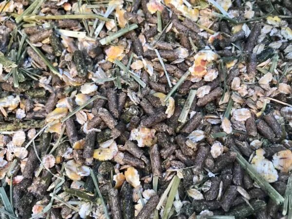 Mélange ovin/caprin